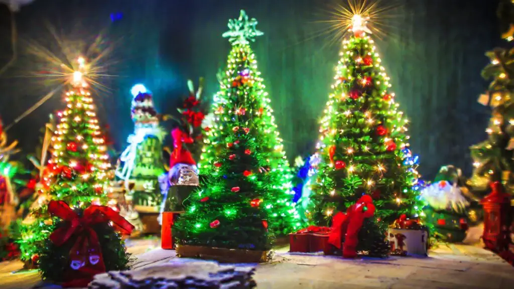 Best Christmas Trees